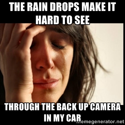 20 Make It Rain Memes That'll Make You Look Cool - SayingImages