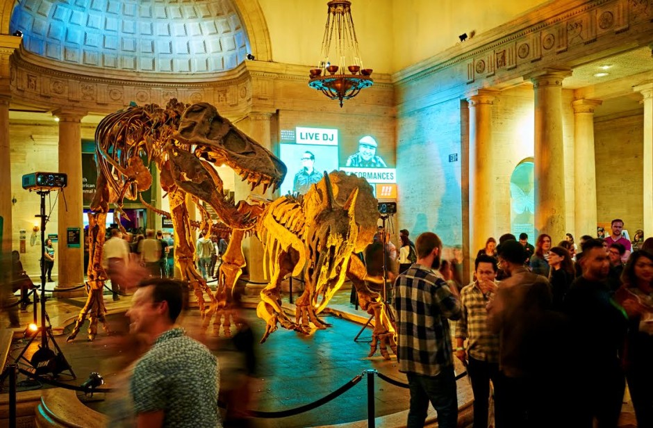 First Fridays are Back at the Natural History Museum Starting in February