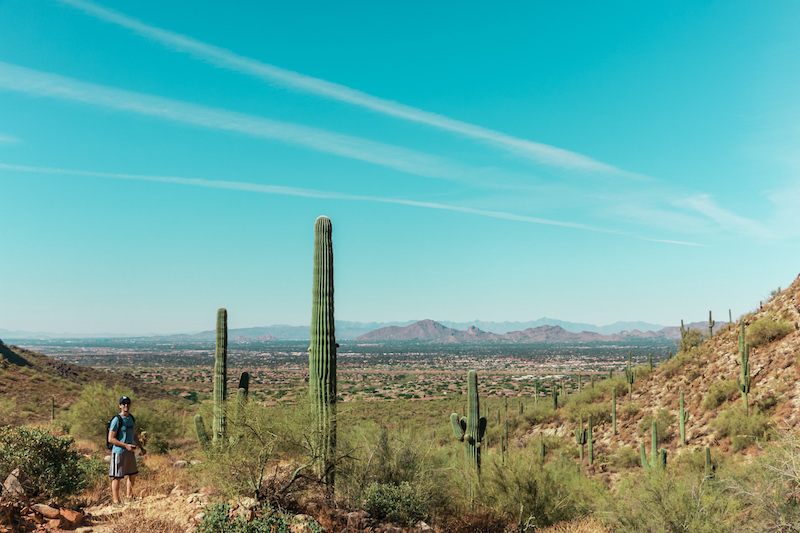 Our Guide to Spring Training in Scottsdale & Paradise Valley