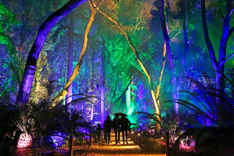 Enchanted Forest Of Light Returns To Descanso Gardens On Nov 17