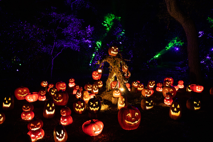 The Best Halloween Events and Activities in Los Angeles